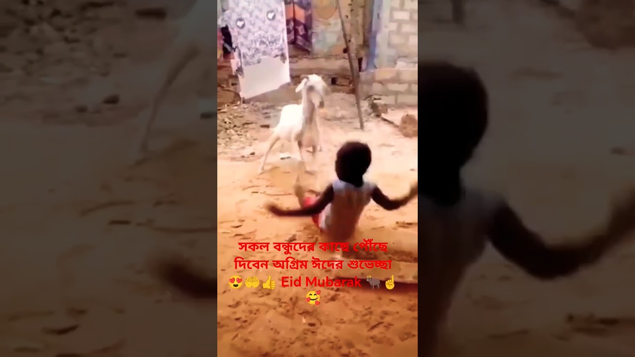 #EidMubarak #EidCelebration #Eid2026 #EidFestivities #shorts #youtubeshorts #trendingshorts 🥰🐂👉