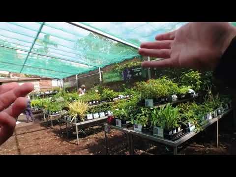 How I make strangers laugh with a presumptuous statement