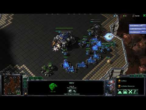 TvP vs. Cannon Rush