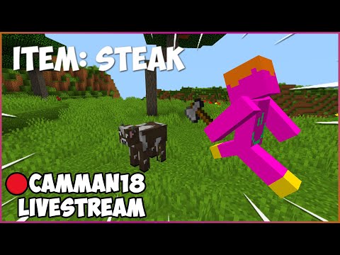 Speedrunning Random Minecraft Items camman18 Full Twitch VOD