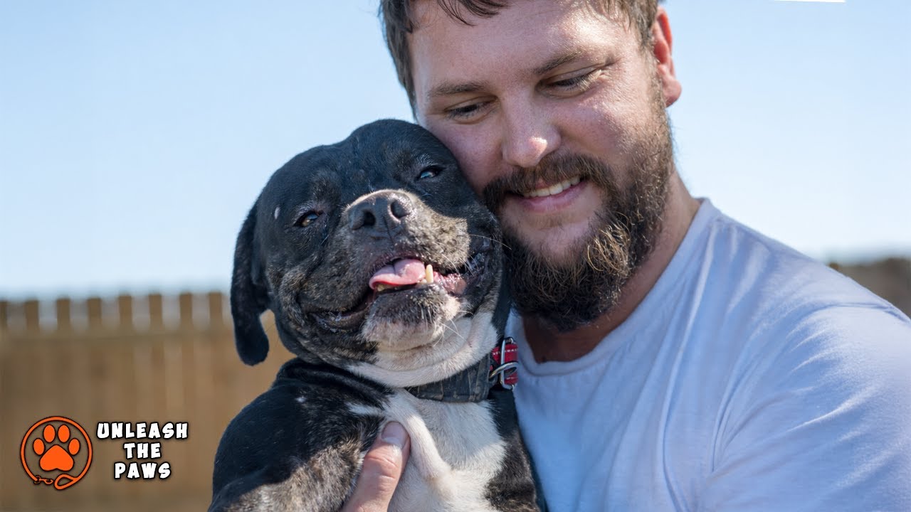 Chance, an adopted mixed breed in Tyler, TX video 6/6
