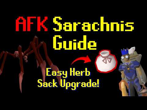 AFK Sarachnis Guide (2026 - New Herb Sack Upgrade) OSRS