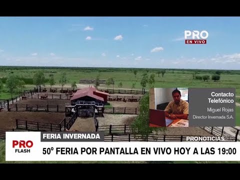 Realizarán Feria de Invernada por Pantalla