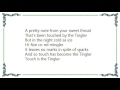 Blondie - The Tingler Lyrics