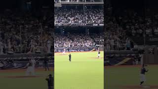 【CT AMAZE】日本VS台湾@台北大巨蛋20241116 #台湾チア #cheerdance #cheerleading #amaze #啦啦隊 #premier12 #teamtaiwan