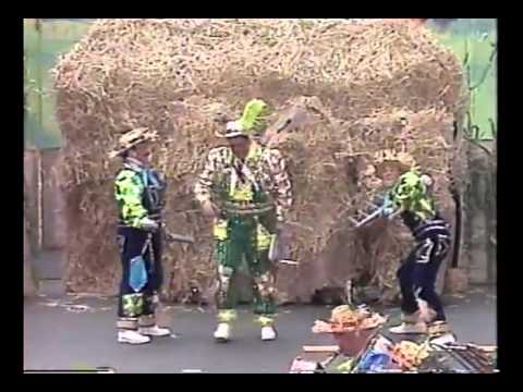 1997 Aqua String Band "Outstanding In Their Field" - 7th Place