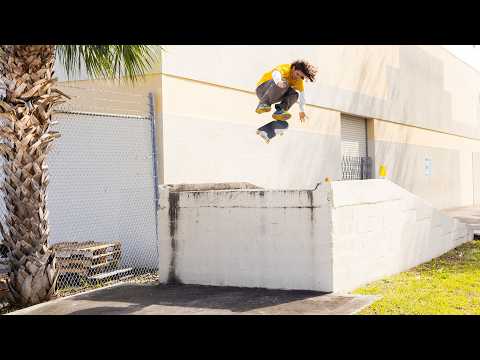 Duplex's "Animal Planet" Video