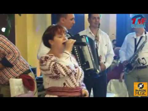 VICA GRADINARU SUPER COLAJ HORE SI SARBE MUZICA DE PETRECERE