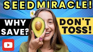 Stop! Save That Avocado Seed: Discover Its Health Secrets
