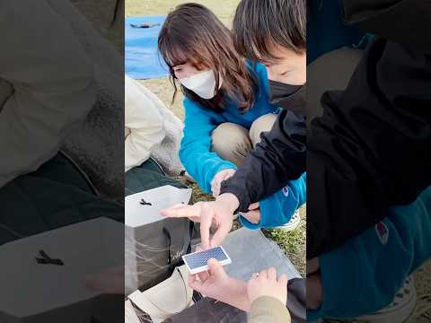 目の前で減るカード