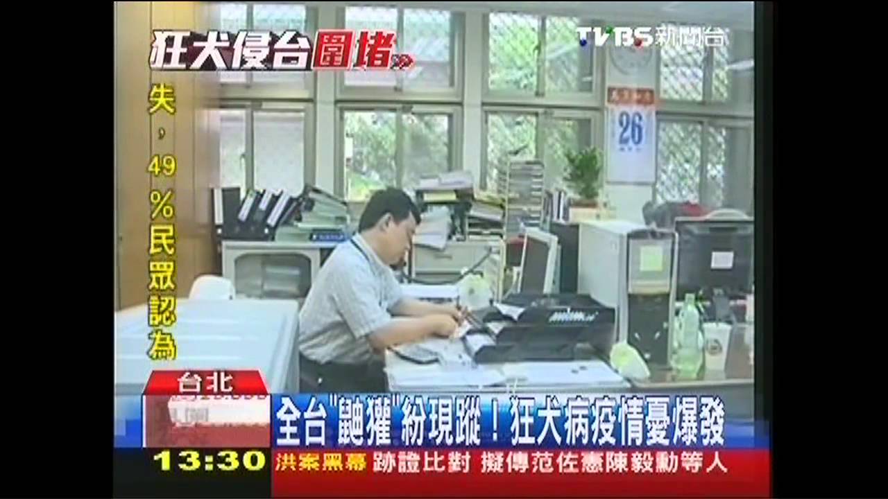全台「鼬獾」紛現蹤! 狂犬病疫情憂爆發