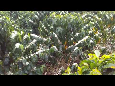 25 de diciembre de 2023