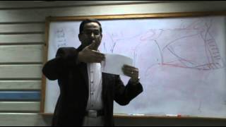 ENT - Dr.Nassem - Nose (3) -Diseases of nasal septum - Part (1)