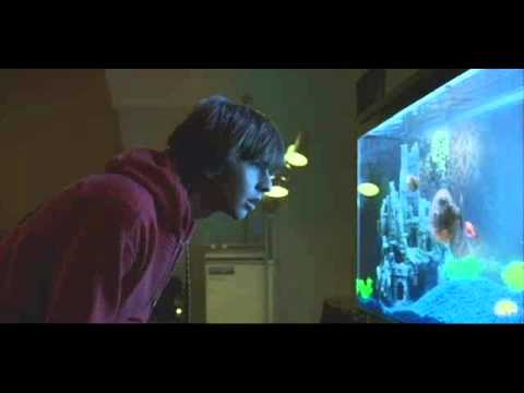 Andre Salmon - Where Is The Salmon (Original Mix)