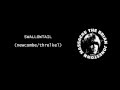 Swallowtail - The Brian Jonestown Massacre 