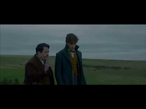 Salamander~ Newt Scamander