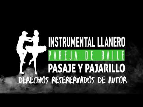 INSTRUMENTAL LLANERO 1 - PASAJE Y PAJARILLO PARA PAREJA DE BAILE DEL JOROPO - ARPA