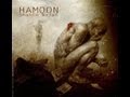 Shahin Najafi - Hamoon 