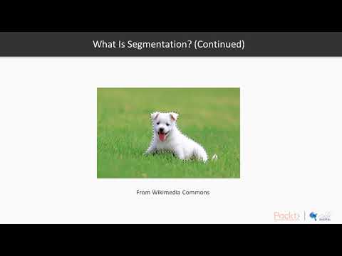 Python Deep Learning for Beginners Semantic Segmentation|packtpub com
