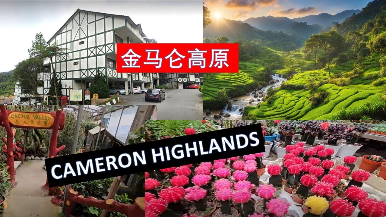 金马仑高原 (Cameron Highlands)旅游景点