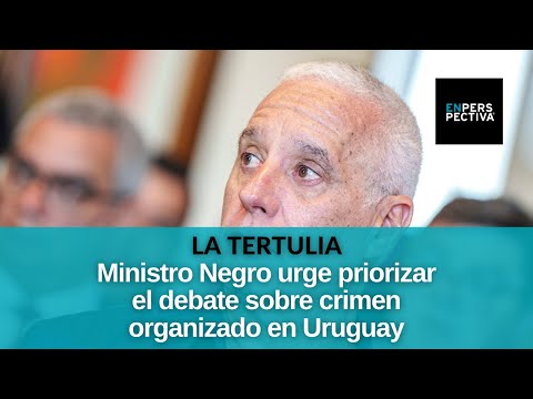 Minister Carlos Negro appeared before the Chamber of Deputies regarding attacks against Prosecuto...