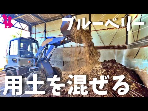 ボリジェ - 定義