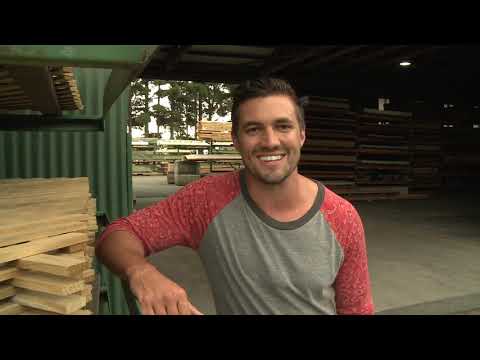 Just the Job Series 9 Episode 3