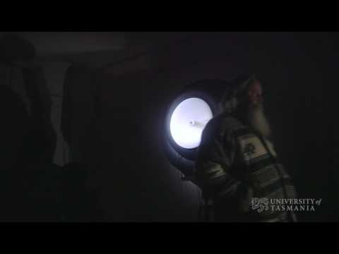 Darren Cook | Weathering a Brainstorm at Dark Mofo