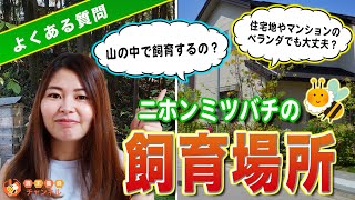 【Q&A】マンションでも養蜂できる？ニホンミツバチ飼育場所のよくある質問
