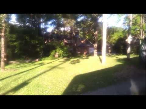 STA (Sydney Buses) Volvo B12BLEA Euro III m/o 1716@288 to QVB