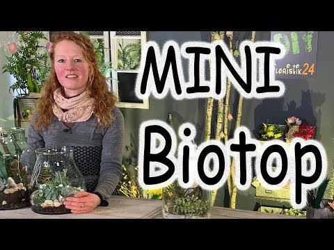 , title : 'DIY Mini Biotop im Glas | Florarium | Terrarium | Flaschengarten | Floristik24'