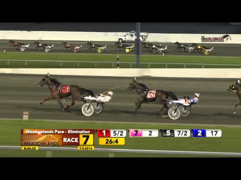 Meadowlands Pace Elimination - He's Watching - July 5, 2014
