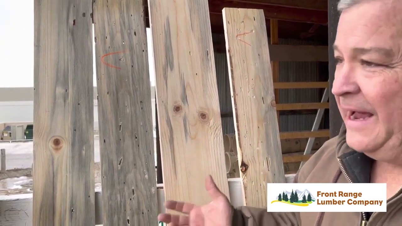 Front Range Lumber Blue Stain Beetle Kill Pine