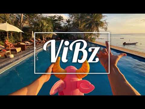 ViBz x Chris Brown - Kiss Deck (Remix 2K20)