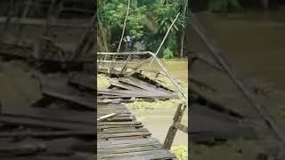 Download lagu Jembatan kayu ambruk di terjang banjir di Kecamatan Kembayan, Sanggau mp3
