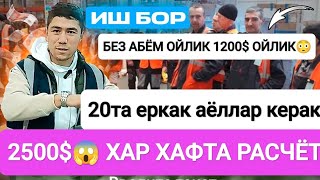 ИШ БОР ХАР ХАФТА РАСЧЁТ 1000$-2500$ ОЙЛИК 😱🇺🇿🇭🇺🇰🇬❗#иш #работа #жумуш