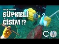 Sualtı Temizliği - İstanbul Boğazına Daldık! Sualtı Temizliği - İstanbul Boğazına Daldık!
