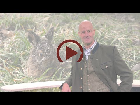 OÖ JagdTV - Wanderer im Kinderzimmer der Wildtiere