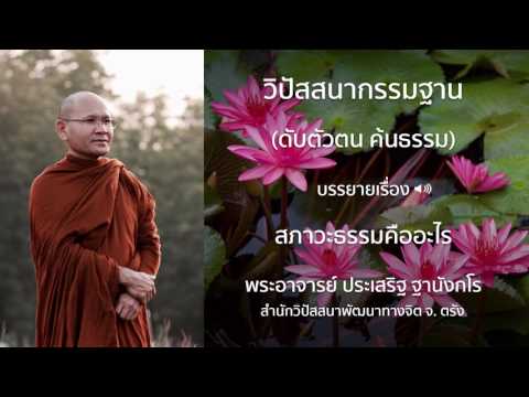 พระประเสริฐ ฐานังกโร บรรยายเรื่อง สภาวะธรรมคืออะไร