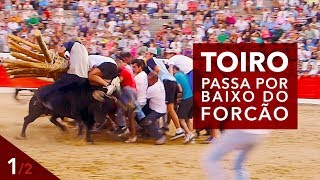 preview picture of video 'Toiro passa por baixo do Forcão - Aldeia da Ponte 2014 (2/2)'