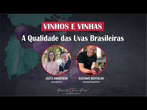 , title : 'VINHOS E VINHAS -  a qualidade das uvas Brasileiras'