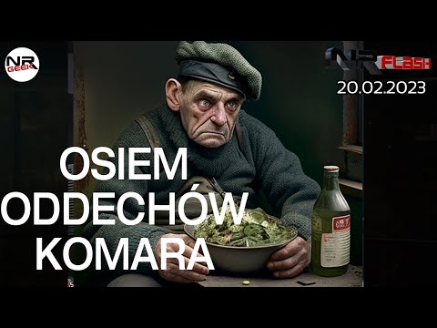 Osiem Oddechów Komara - NRFlash (20.02.2023) (english subtitles / polskie napisy)