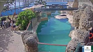 Hawaiian Monk Seal Habitat