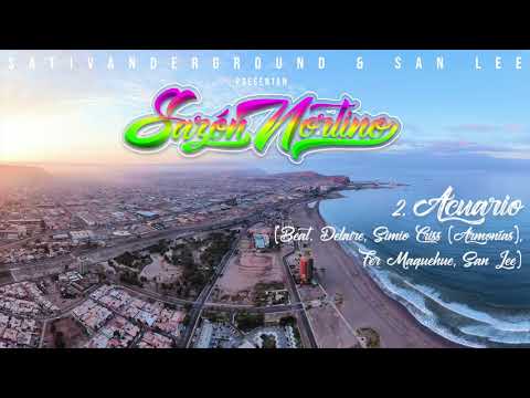 02 - Acuario - Beat : Delaire, Fer Maquehue, SanLee - Armonías :Simio Criss