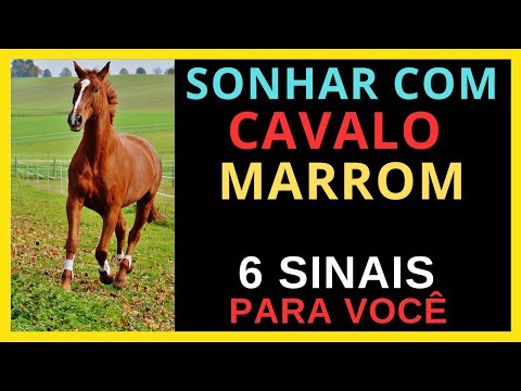 Dreaming of a brown horse - 6 signs for you