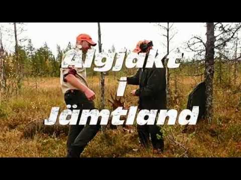 Älgjakt i Jämtland (trailer)