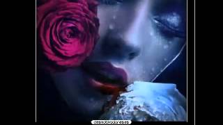 Agua salada los tigres del norte