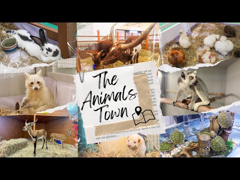 The Animals Town | Seacon Bangkae | Bangkok | Thailand