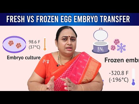 Fresh vs Frozen egg embryo transfer for IVF: Which is better?| English  | Dr G Buvaneswari | GBR