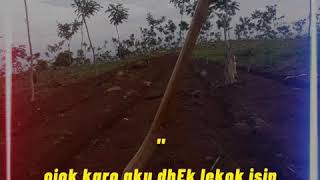 Download lagu story wa pekerja keras mp3 Download lagu story wa pekerja keras mp3
